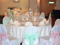 Taffeta Chair Sashes